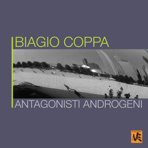 Antagonisti androgeni