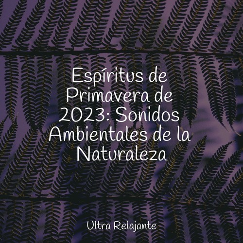 Espíritus de Primavera de 2023: Sonidos Ambientales de la Naturaleza