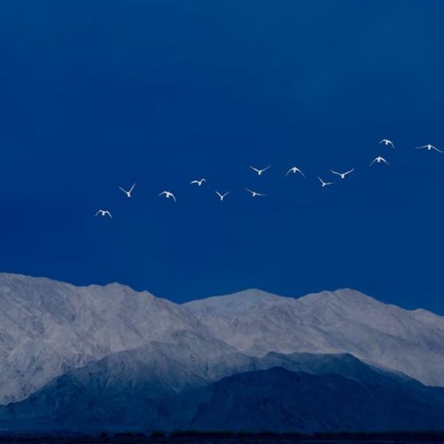 熬夜不是喜欢夜