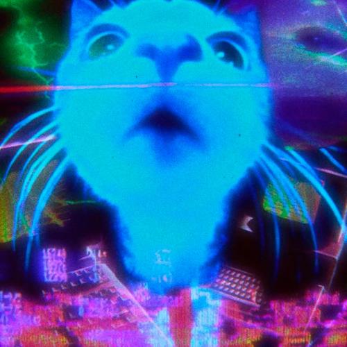 Perreo Azul De Neón