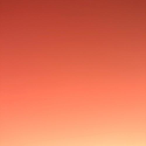 Say It To My Face (Explicit)