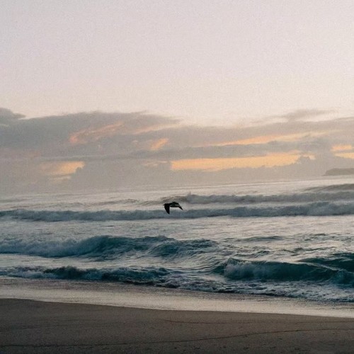 抖音快手流行热歌2.0