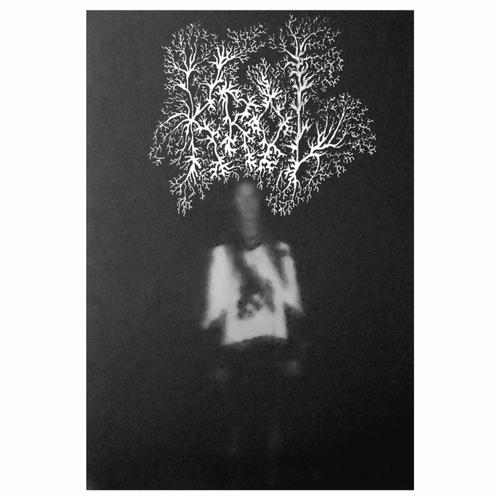 Estranged in Surreal Darkness