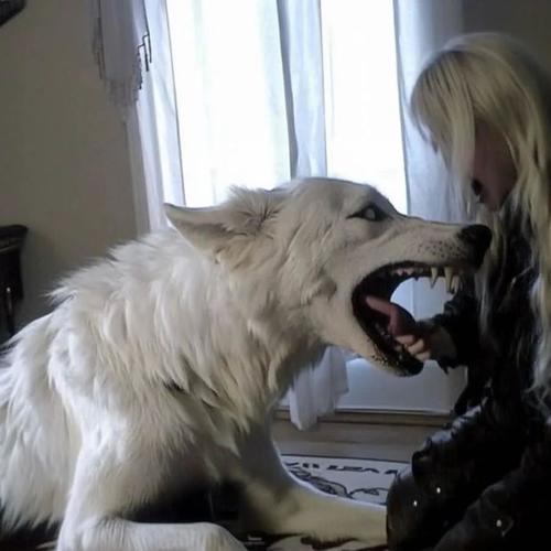 ALL ALONE (feat. kiheir) [Explicit]