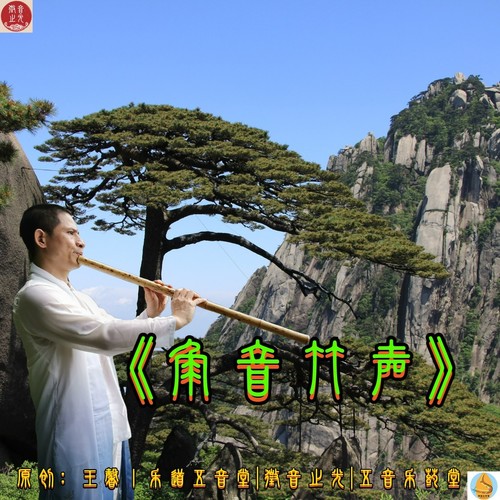 角音竹声|悠扬动听，亮丽清新，通气解郁，疏肝利胆，和谐温馨，家和事兴！