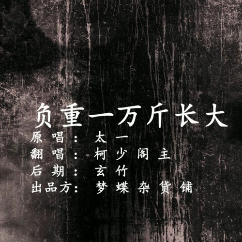 负重一万斤长大