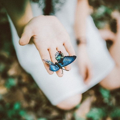 《亦诗亦歌/片羽时光》