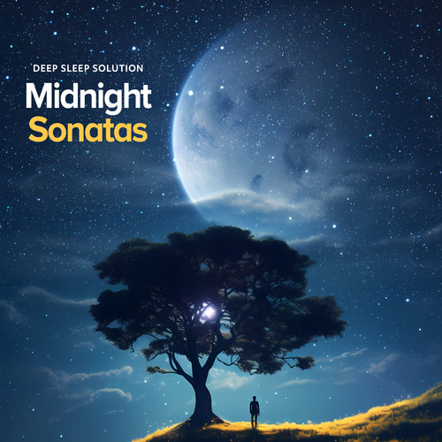 Midnight Sonatas