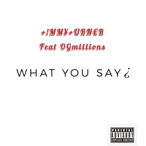 What You Say (feat. Ogmillions) [Explicit]