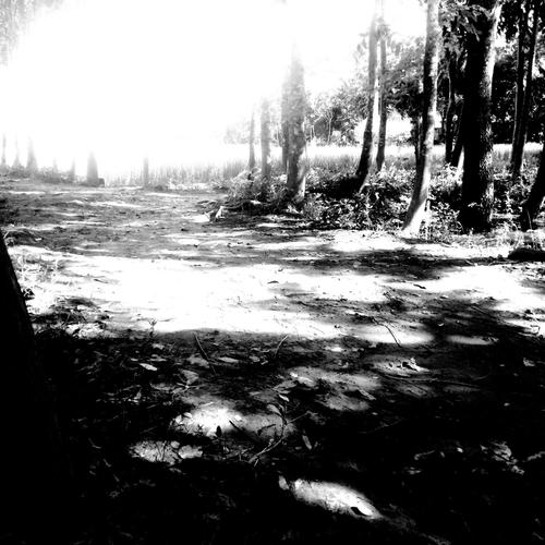 Sad times (feat. Saidur Rahman)