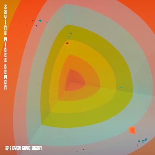 If I Ever Love Again