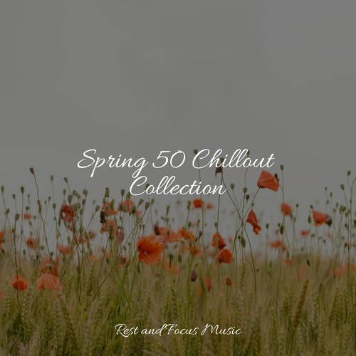 Spring 50 Chillout Collection