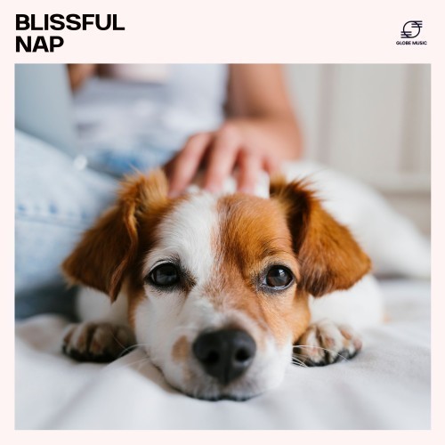Blissful Nap: Pet Sleep Music