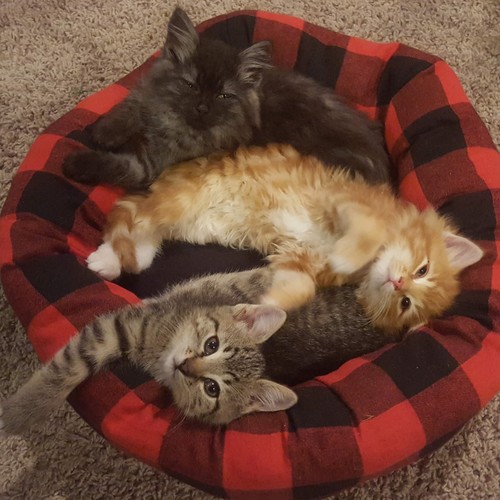 Merry Go Round (feat. Andrew Millar)