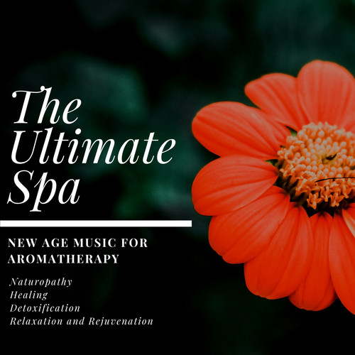 The Ultimate Spa (New Age Music For Aromatherapy, Naturopathy, Healing, Detoxification, Relaxation And Rejuvenation)