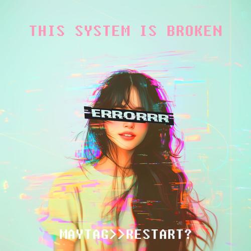 This System is Broken