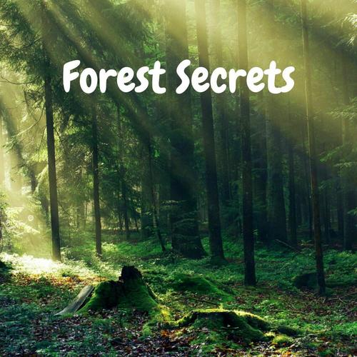 Forest Secrets