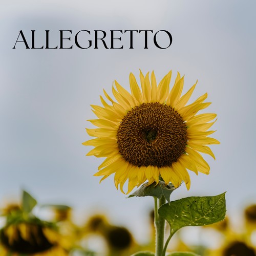 Allegretto