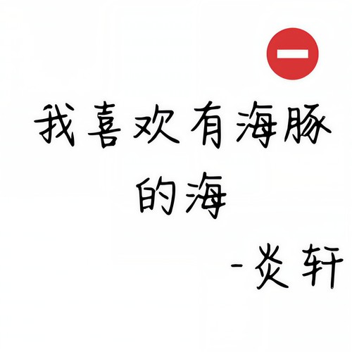 我喜欢有海豚的海