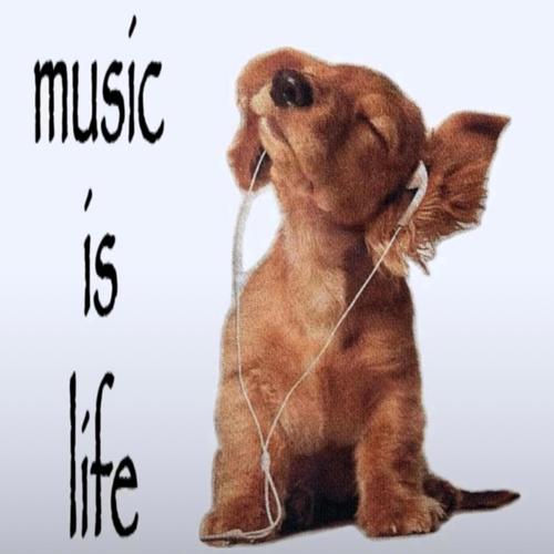 Music Is Life (Explicit)