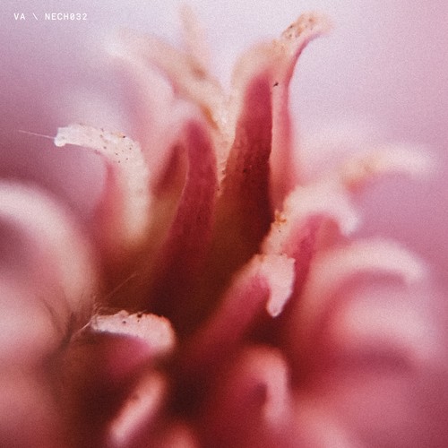 NECH032 A-sides