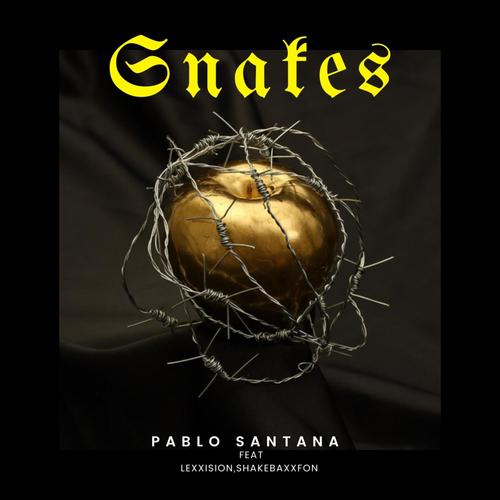 Snakes (feat. Lexxision & ShakebaxxFon) [Explicit]