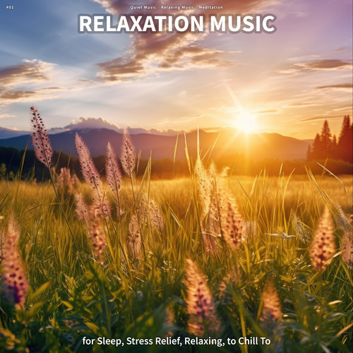 #01 Relaxation Music for Sleep, Stress Relief, Relaxing, to Chill To
