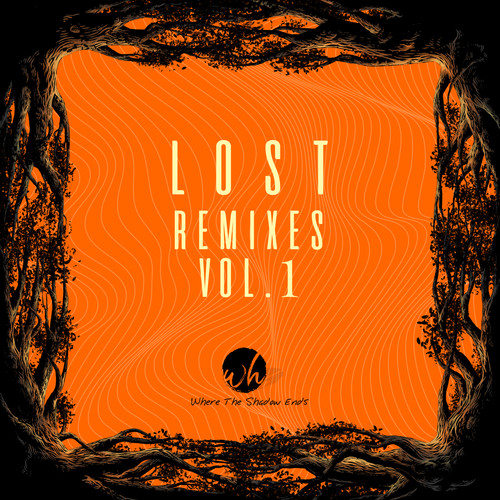 Missing Someone (Davide Ferrario Remix)