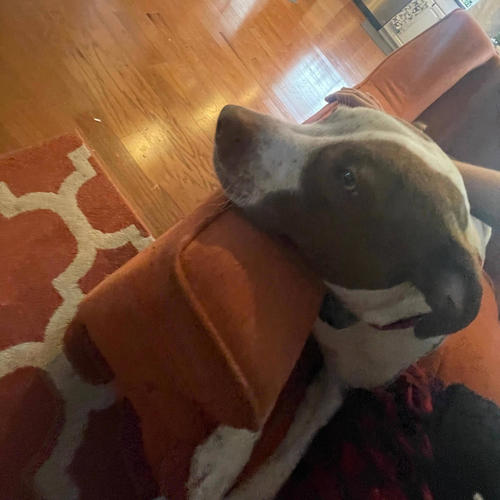 twin (feat. RedPea) [Explicit]