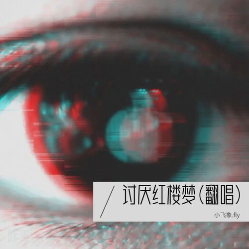 讨厌红楼梦(翻唱)