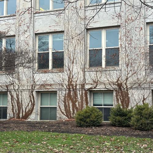 Lower Depot Flow (Explicit)