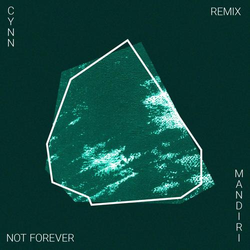 Not Forever (Mandiri Remix)