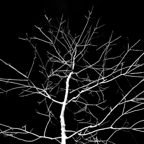 After hours interlude