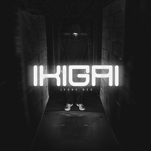 IKIGAI (Explicit)