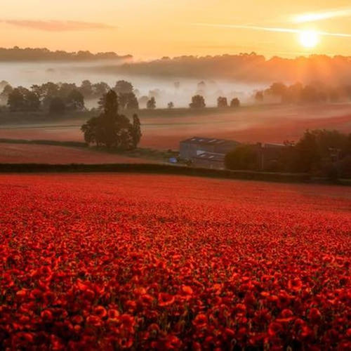 a young dope fiend, eighteen and alone (Explicit)