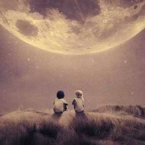 读诗：情有独钟