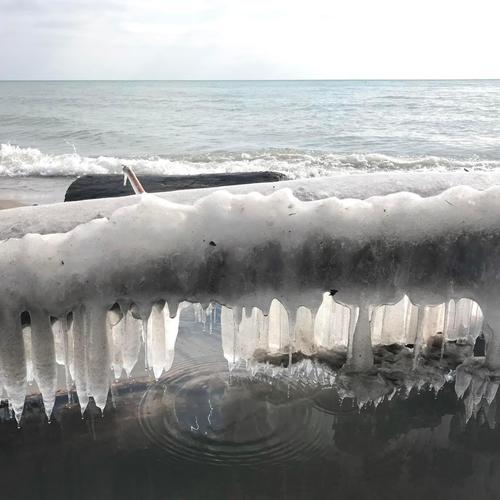 Some Part of Me is Hibernating