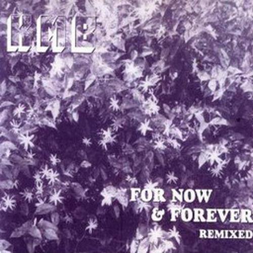 For Now And Forever (Remixed)