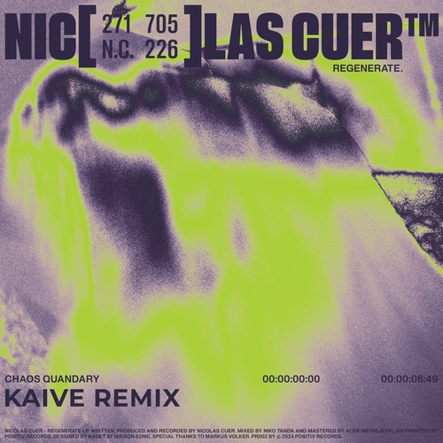 Chaos Quandary (Kaive Remix)