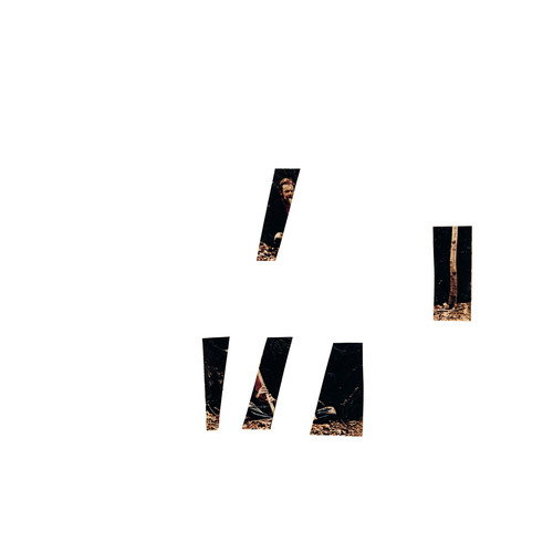 Music of Dary John Mizelle