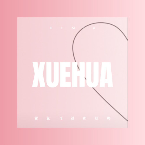 雪花飞过那枝梅