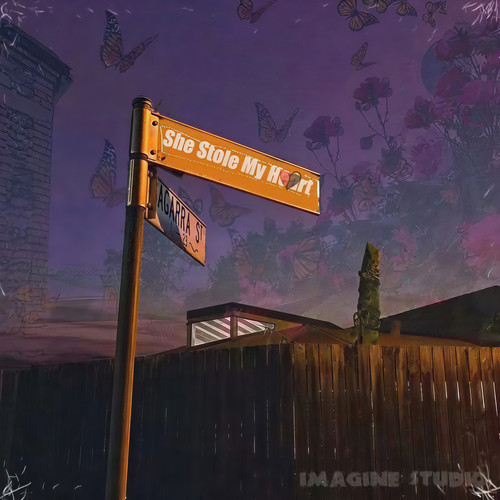 she stole my heart (偷心盗贼)