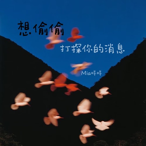 想偷偷打探你的消息