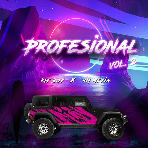 Profesional (Vol2)