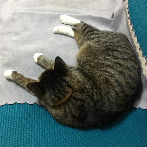 #燃歌赛#遇见宁