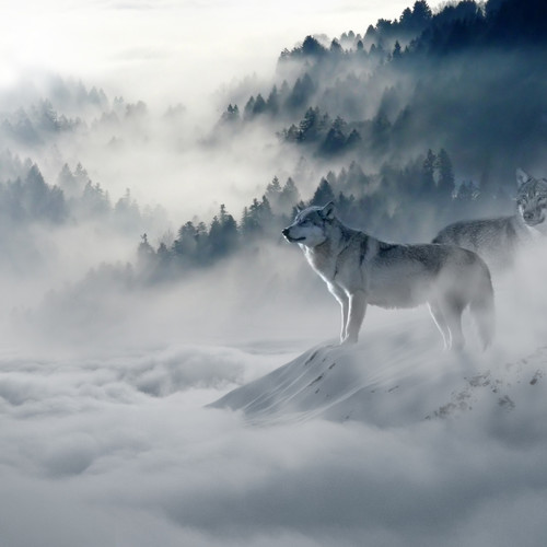 50 Canciones Suaves Pacíficas Para La Relajación Y La Ayuda Para Dormir