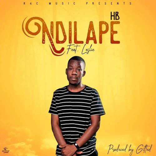 Ndilape (feat. Leslie Moyo) [Explicit]