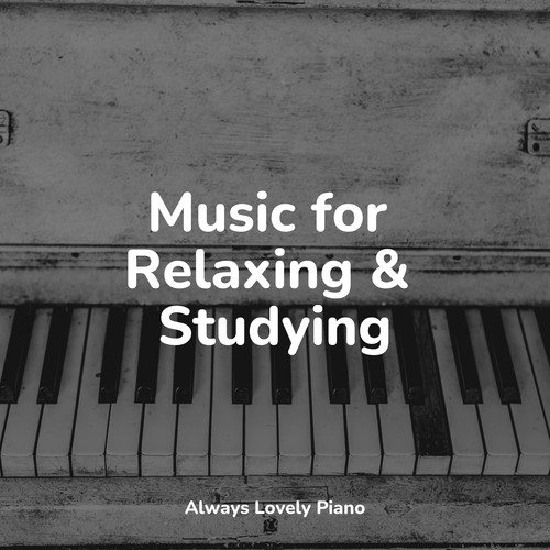 The Calming Sounds of Pure Peace