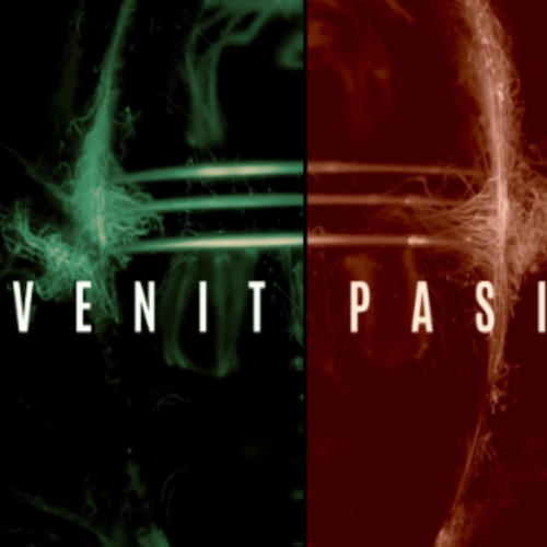 Venit Pasiv (feat. CerebraL) [Explicit]