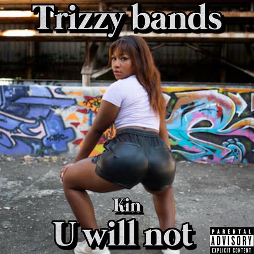 U will not (feat. Kin) [Explicit]